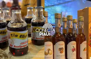 Alvorada do Gurguéia se destaca na Fetur com turismo e riquezas naturais (Foto: Reprodução)