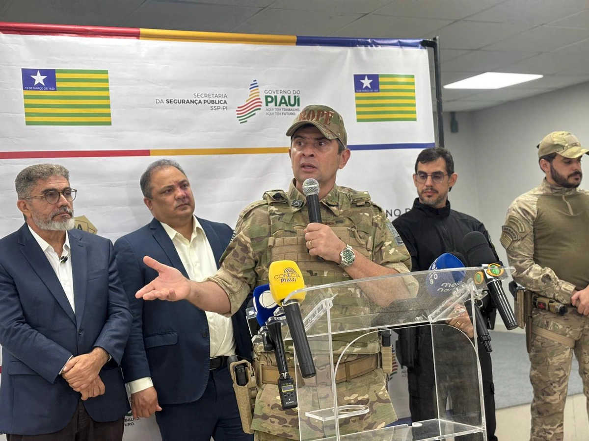 Arsenal de armas irregular é apreendido durante 'Operação Desarme' em Teresina