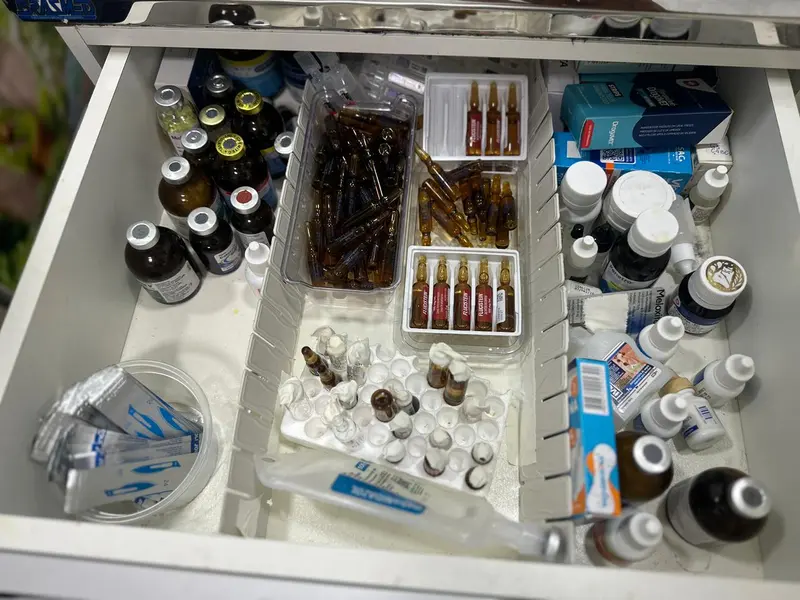 Associação Piauiense de Proteção e Amor aos Animais