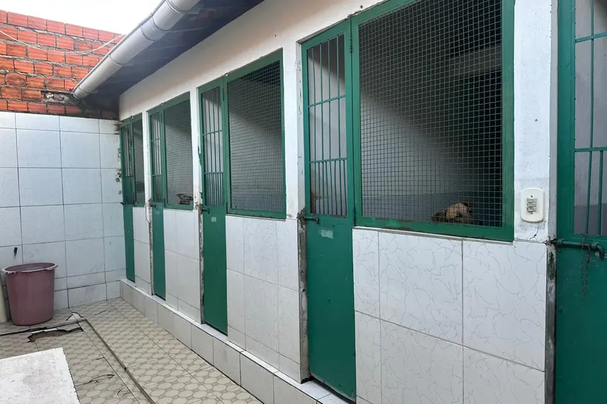 Associação Piauiense de Proteção e Amor aos Animais