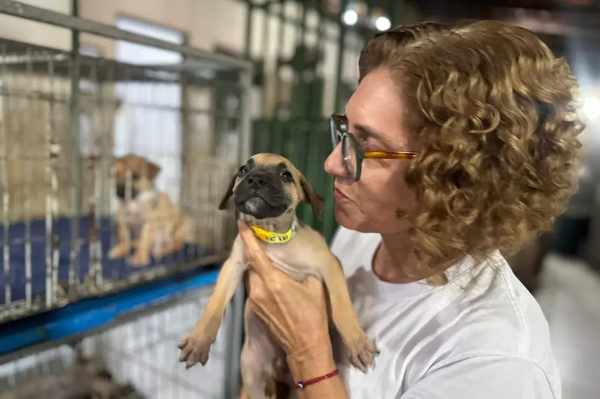 Associação Piauiense de Proteção e Amor aos Animais