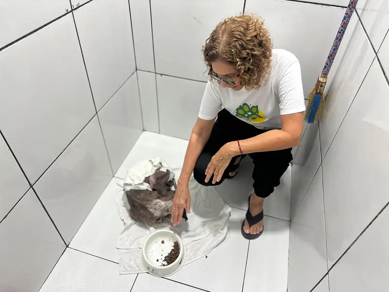 Associação Piauiense de Proteção e Amor aos Animais