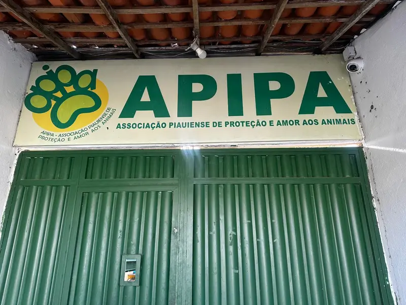 Associação Piauiense de Proteção e Amor aos Animais