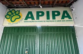Associação Piauiense de Proteção e Amor aos Animais (Foto: Conecta Piauí)