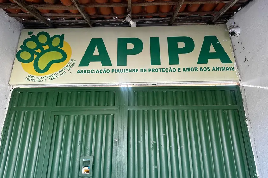 Associação Piauiense de Proteção e Amor aos Animais