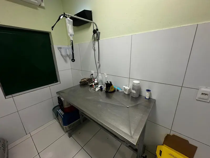 Associação Piauiense de Proteção e Amor aos Animais