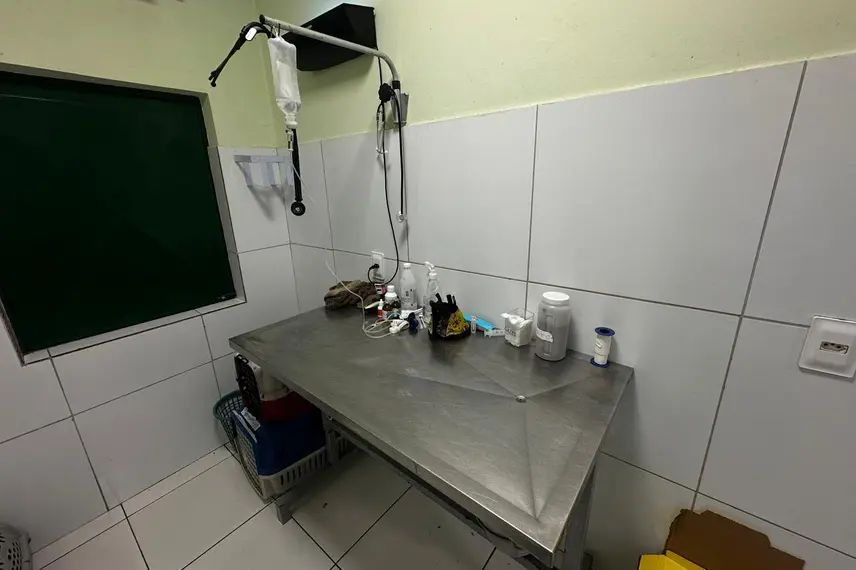 Associação Piauiense de Proteção e Amor aos Animais