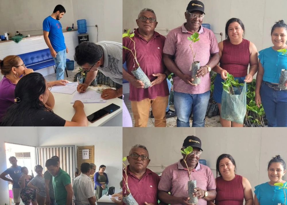 Assunção do Piauí recebe 1.000 mudas de caju para agricultura