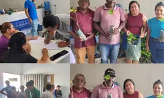 Assunção do Piauí recebe 1.000 mudas de caju para agricultura