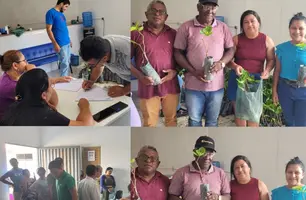Assunção do Piauí recebe 1.000 mudas de caju para agricultura (Foto: Reprodução)