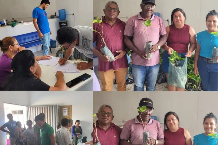 Assunção do Piauí recebe 1.000 mudas de caju para agricultura