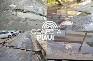 Buracos e abandono tomam ruas da zona Norte de Teresina e colocam vidas em risco (Foto: Reprodução)