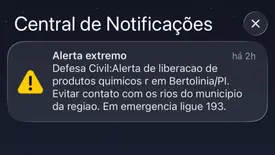 Caminhão com carga tóxica tomba em Bertolínia e Defesa Civil emite alerta (Foto: Reprodução)