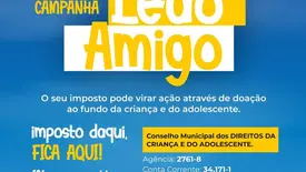 Campanha Leão Amigo incentiva doação do IR para crianças em Aroazes (Foto: Reprodução)