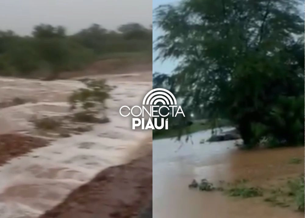 Chuvas intensas causam alagamentos no Sul do Piauí