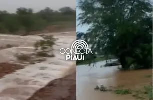 Chuvas intensas causam alagamentos no Sul do Piauí (Foto: Reprodução)