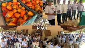 Codevasf realiza Dia de Campo e fortalece cajucultura no Piauí (Foto: Reprodução)