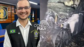 CREA-PI esclarece causas de incêndios em carros elétricos (Foto: Conecta Piauí)