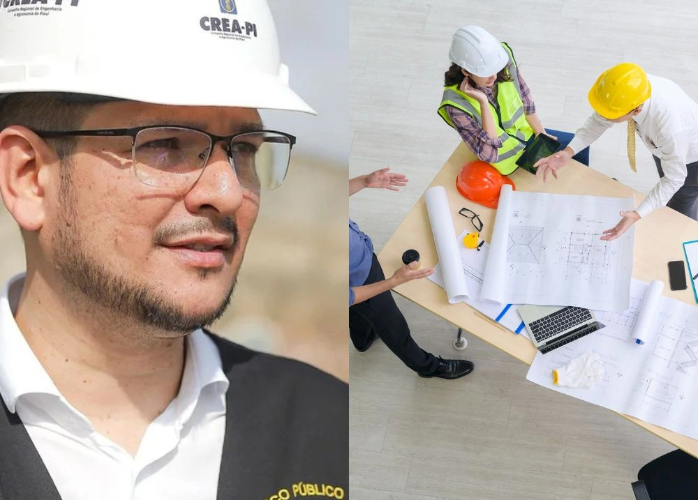 CREA-PI registra 8,5 mil acessos em 60 dias com nova plataforma