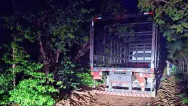 Criminosos roubam 300 botijões de gás de caminhão na zona rural de Jaicós (Foto: Reprodução/Cidadesnanet)