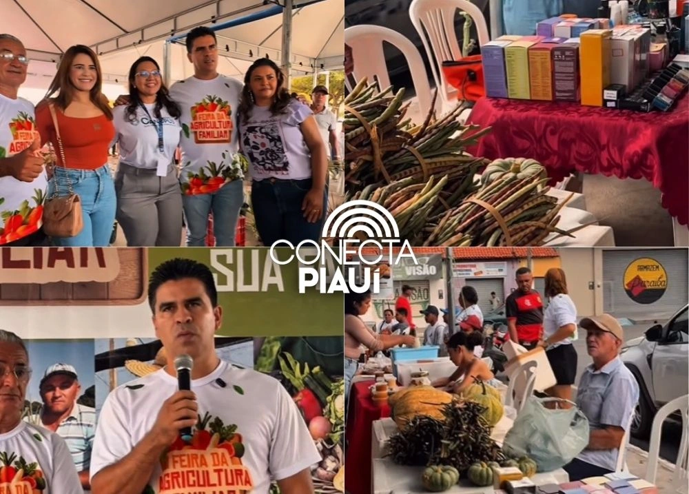 Feira da Agricultura Familiar movimenta Alto Longá com produtos e serviços