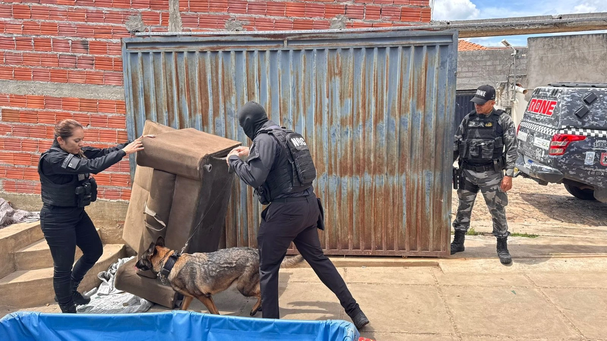 Forças de segurança deflagram operação contra tráfico em cinco municípios no Piauí