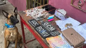 GCM prende três suspeitos por tráfico na zona Norte de Teresina (Foto: Reprodução)