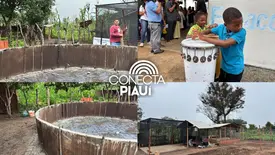 Governo do Piauí e MDS levam inovação para agricultura familiar em Amarante (Foto: Conecta Piauí)