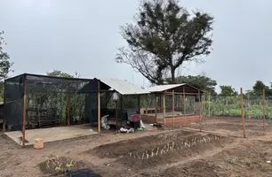 Governo do Piauí e MDS levam inovação para agricultura familiar em Amarante (Foto: Conecta Piauí)