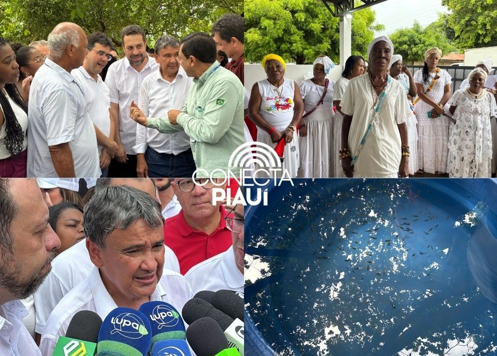 Governo do Piauí e MDS levam inovação para agricultura familiar em Amarante