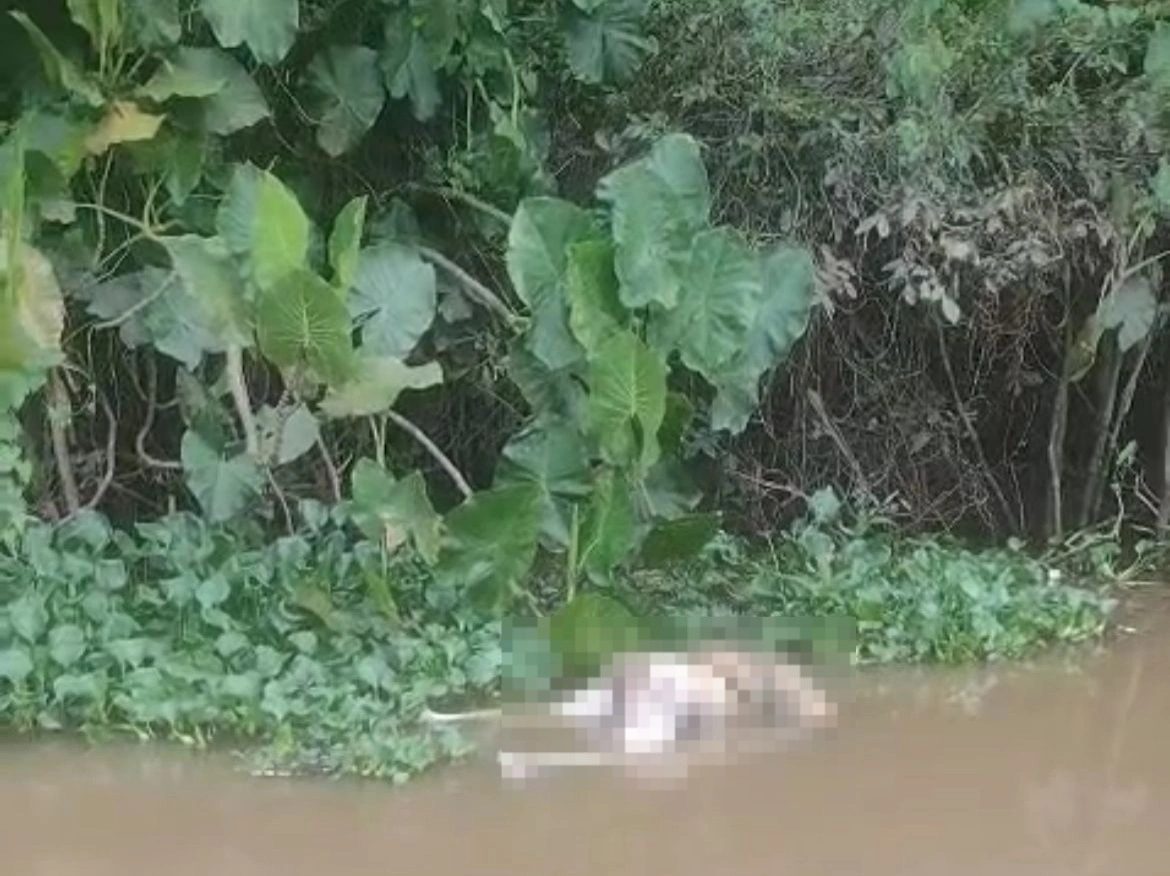 Homem é encontrado morto às margens do rio Poti, na zona Norte de Teresina