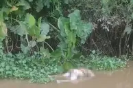 Homem é encontrado morto às margens do rio Poti, na zona Norte de Teresina