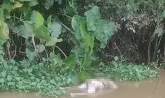 Homem é encontrado morto às margens do rio Poti, na zona Norte de Teresina
