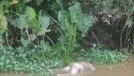 Homem é encontrado morto às margens do rio Poti, na zona Norte de Teresina (Foto: Reprodução)