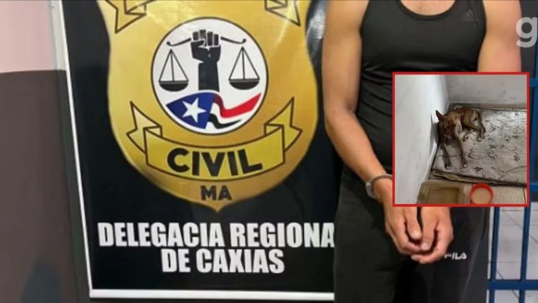 Homem preso em Caxias abusava sexualmente de cadela, filmava e compartilhava os videos