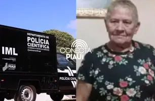 Idosa morre eletrocutada ao colher frutas no quintal, no interior do Piauí (Foto: Reprodução)