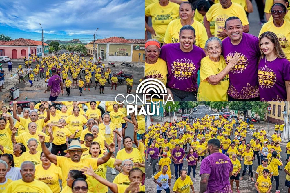Idosos do Grupo Girassol realizam flash mob no município de Amarante