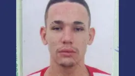 Jovem morre após colidir com boi na zona rural de Barras (Foto: Reprodução)