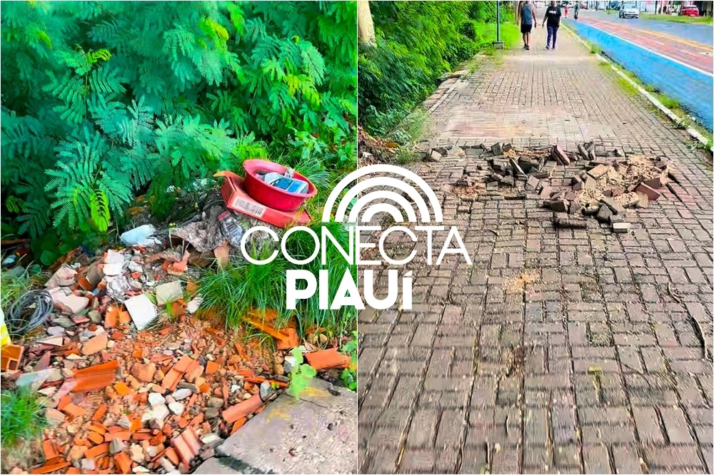 Lixo, destruição e abandono marcam a principal avenida turística de Teresina