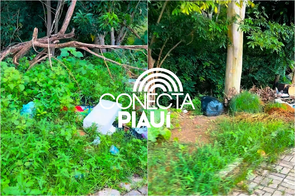 Lixo, destruição e abandono marcam a principal avenida turística de Teresina