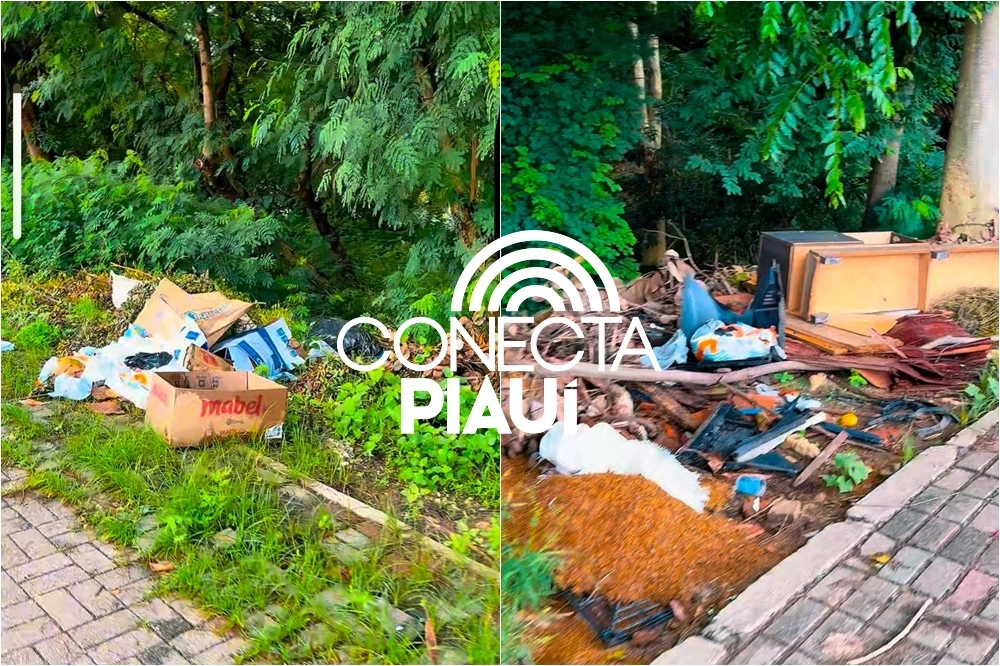 Lixo, destruição e abandono marcam a principal avenida turística de Teresina