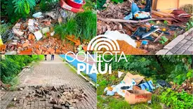 Lixo, destruição e abandono marcam a principal avenida turística de Teresina (Foto: Reprodução)