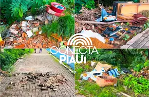 Lixo, destruição e abandono marcam a principal avenida turística de Teresina (Foto: Reprodução)