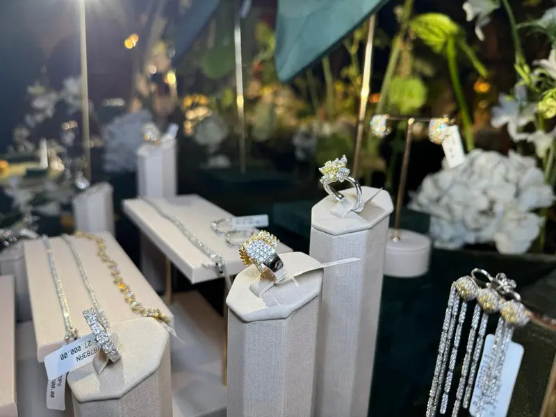 Noite de glamour marca lançamento de Gioielli por Risangela Lima