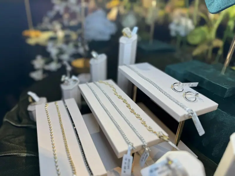 Noite de glamour marca lançamento de Gioielli por Risangela Lima