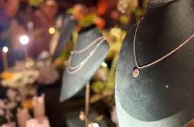 Noite de glamour marca lançamento de Gioielli por Risangela Lima (Foto: Conecta Piauí)