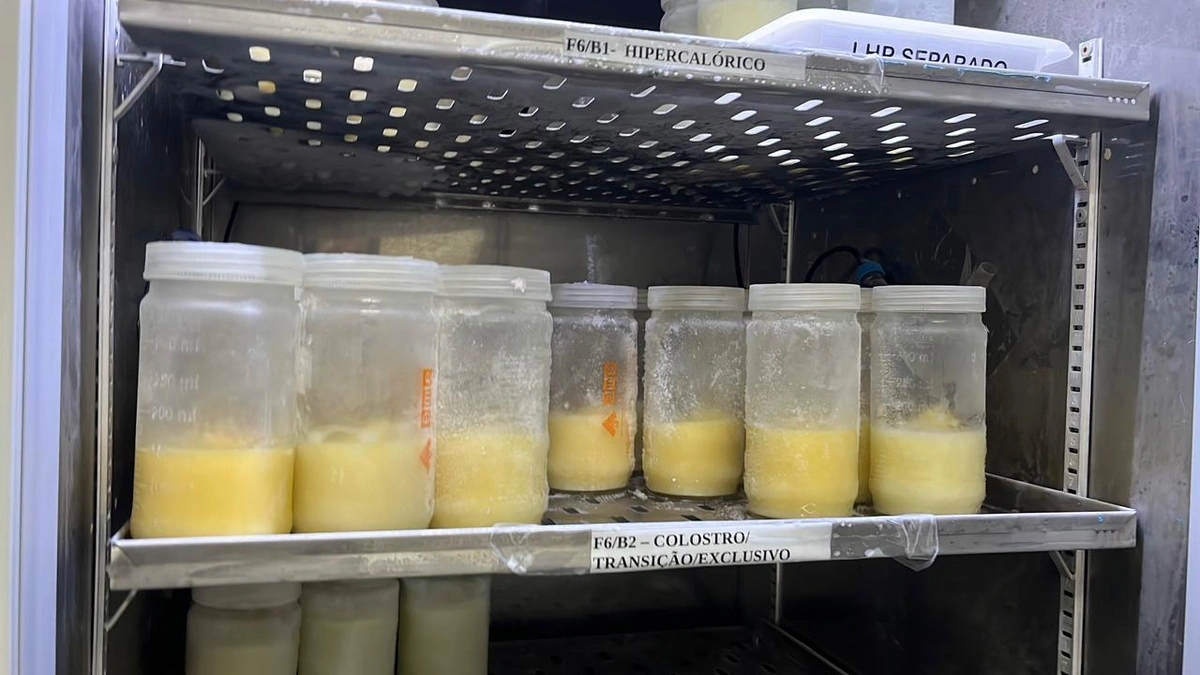 Nova Maternidade Evangelina Rosa intensifica campanha de doação de leite humano; saiba como doar