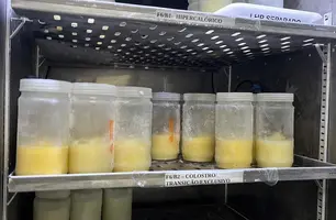 Nova Maternidade Evangelina Rosa intensifica campanha de doação de leite humano; saiba como doar (Foto: Gilza Beatriz Aires)