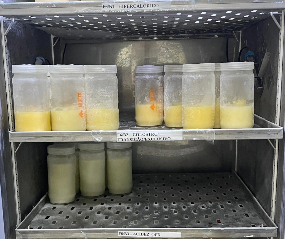 Nova Maternidade Evangelina Rosa intensifica campanha de doação de leite humano; saiba como doar