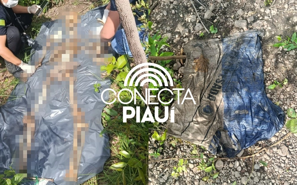 Ossada humana é encontrada em área de mata em Demerval Lobão